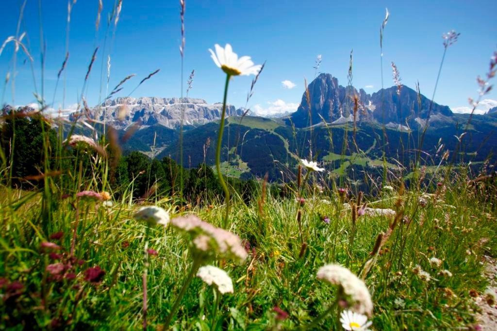 Garni Hotel Bel Vert Selva di Val Gardena Zewnętrze zdjęcie
